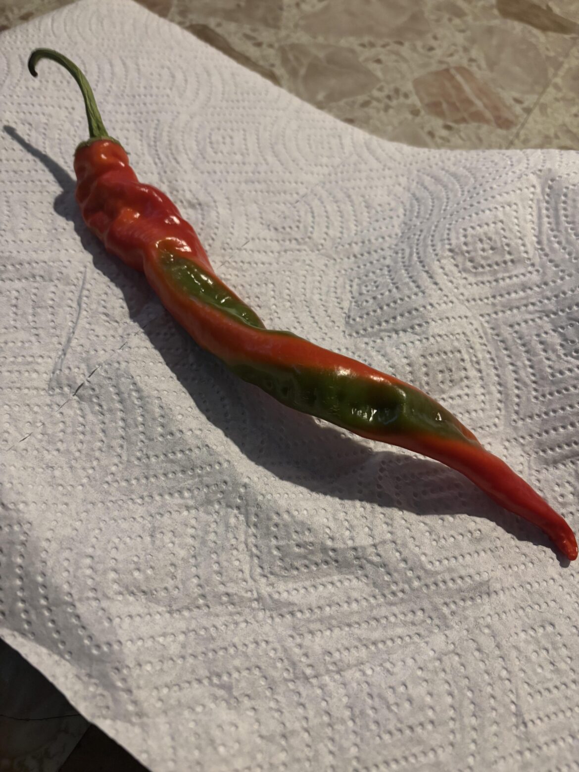 What kind of pepper is this?