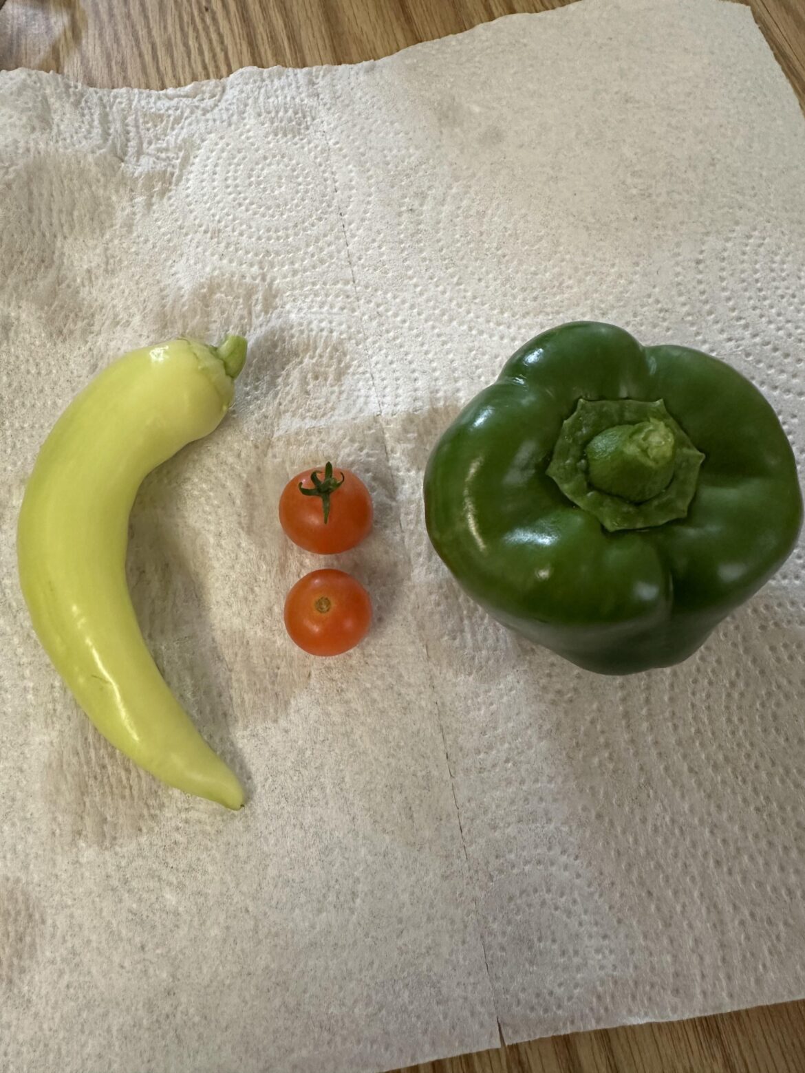 Finally grew my first bell pepper (plus others)