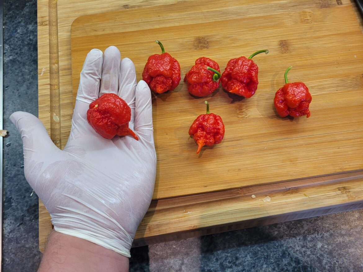 First ever batch of reapers i grew.