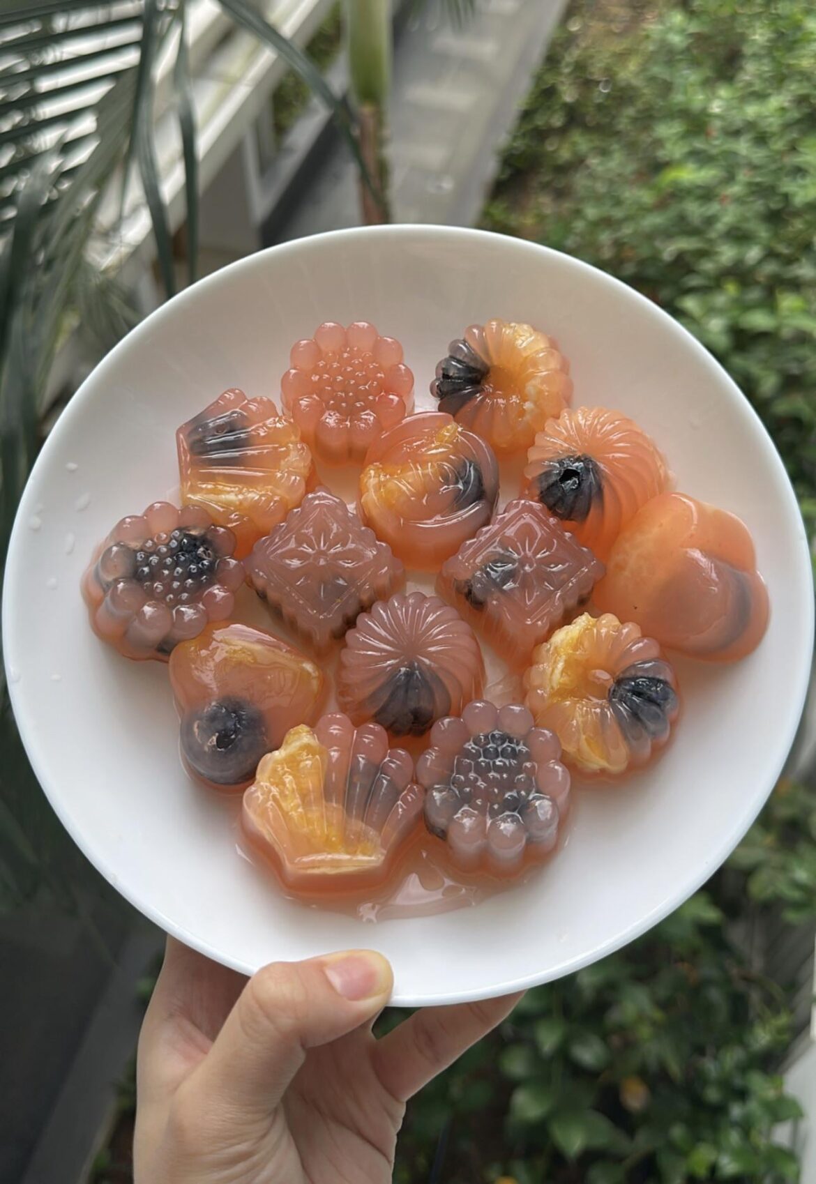 [homemade] fruit jellies
