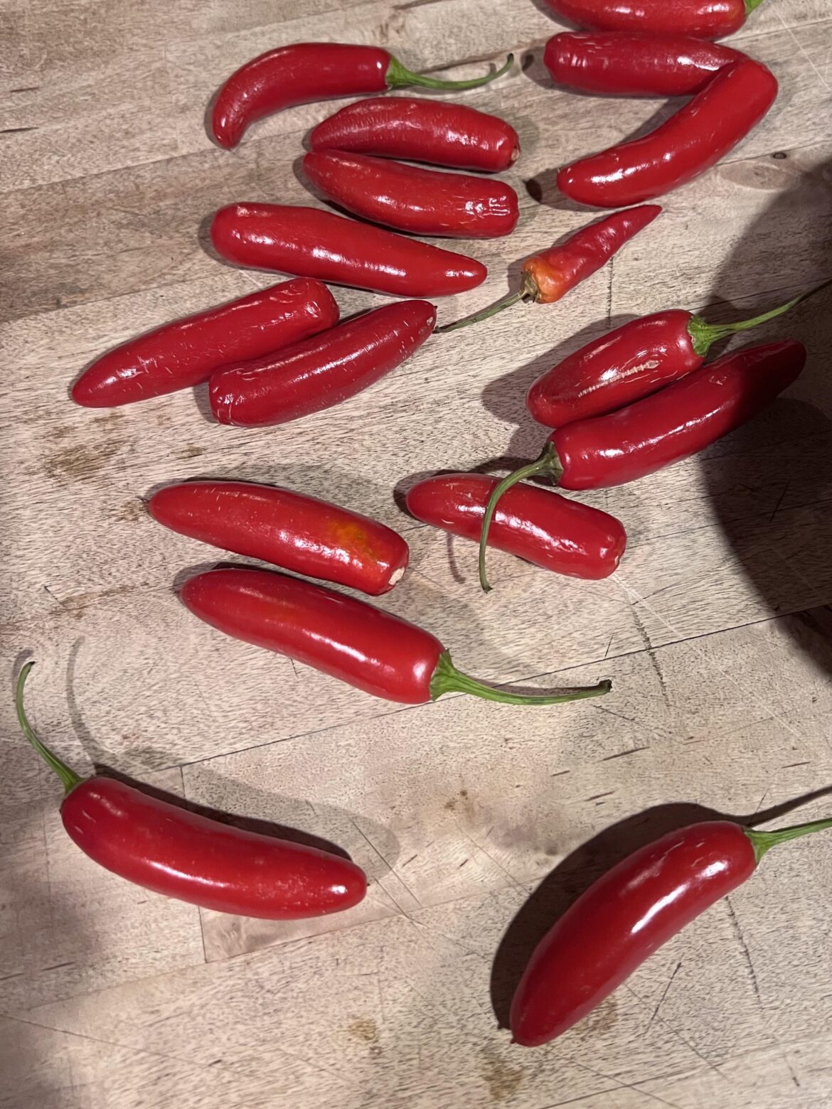 What kind of peppers are these?