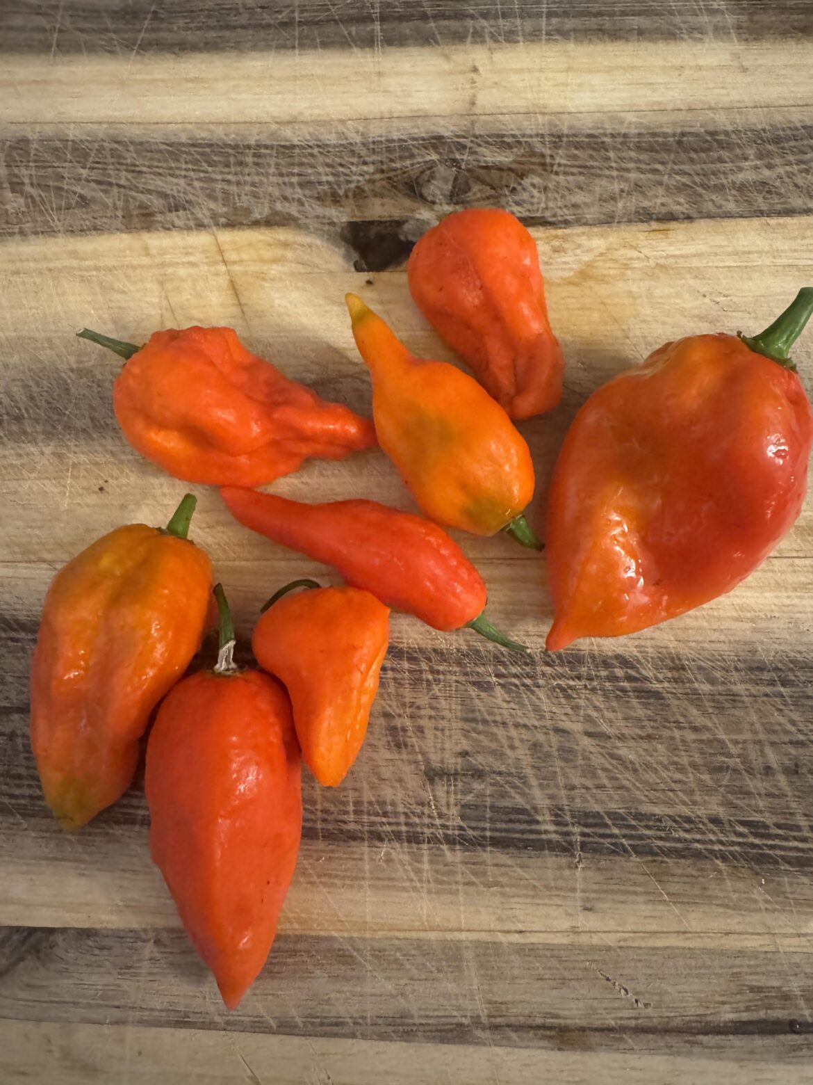 There will be blood and fire