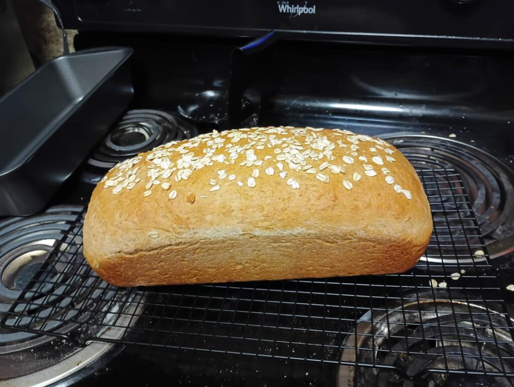 Made my first loaf of bread today!
