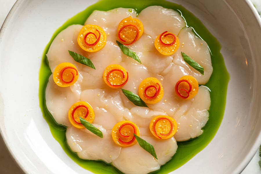 Sea scallop at MIKA