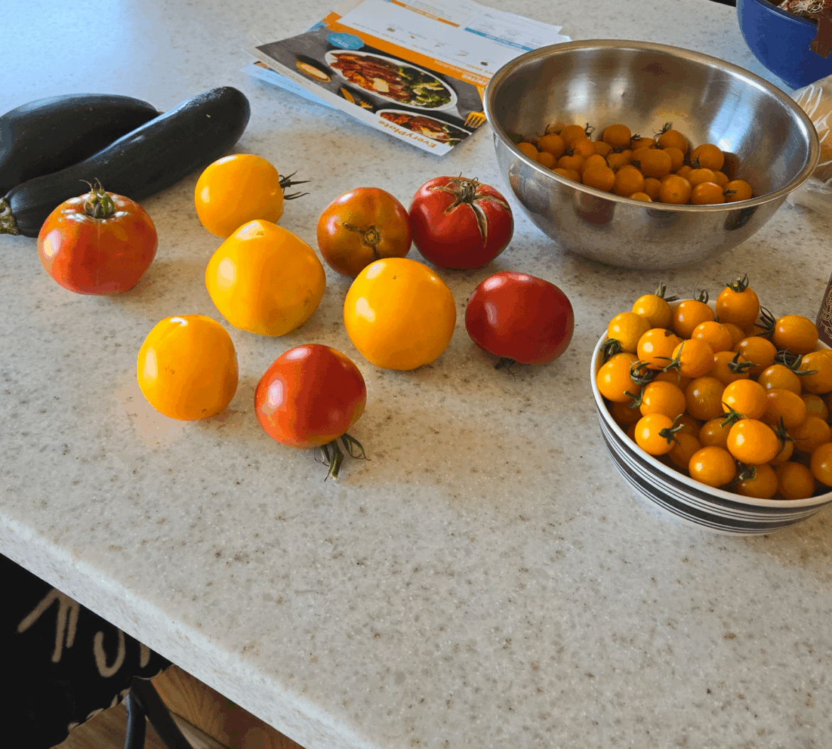 Um.. what do I do? Salsa? Omelette? Over abundance of tomatoes