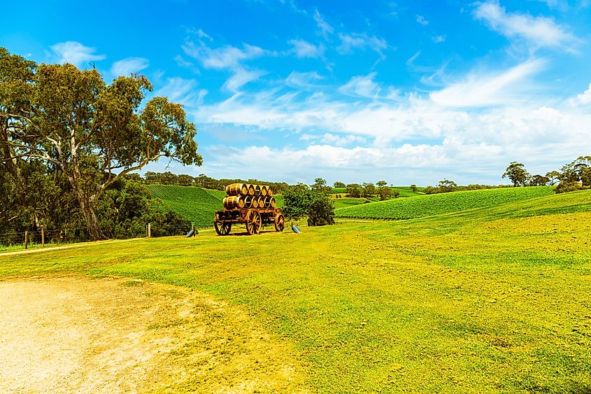 The Longview Vineyard in Macclesfield, South Australia.