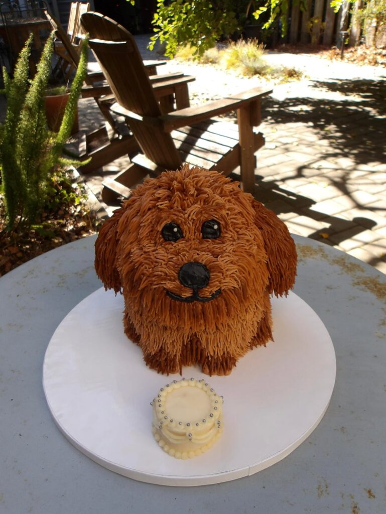 Dog Shaped Cake for Human Owner’s Birthday