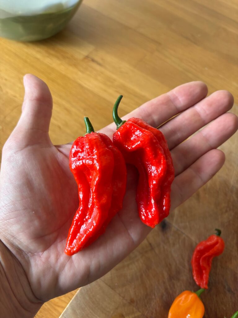 Big ghosts Big ghosts