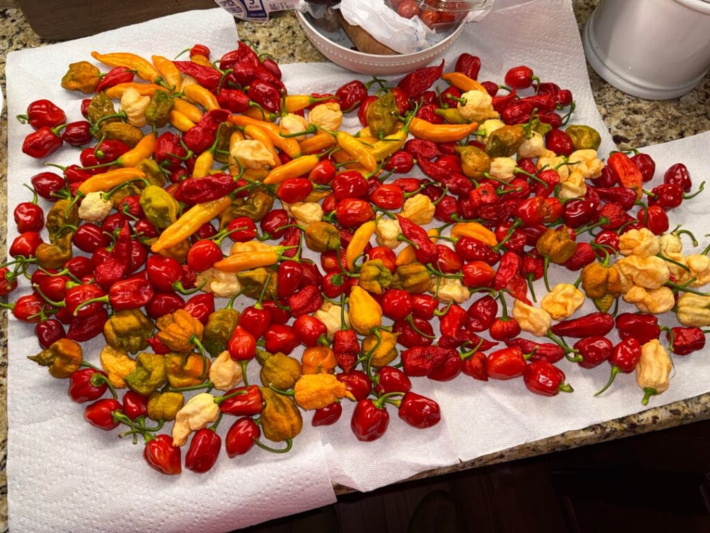 Freezer is already full, wife is pissed.