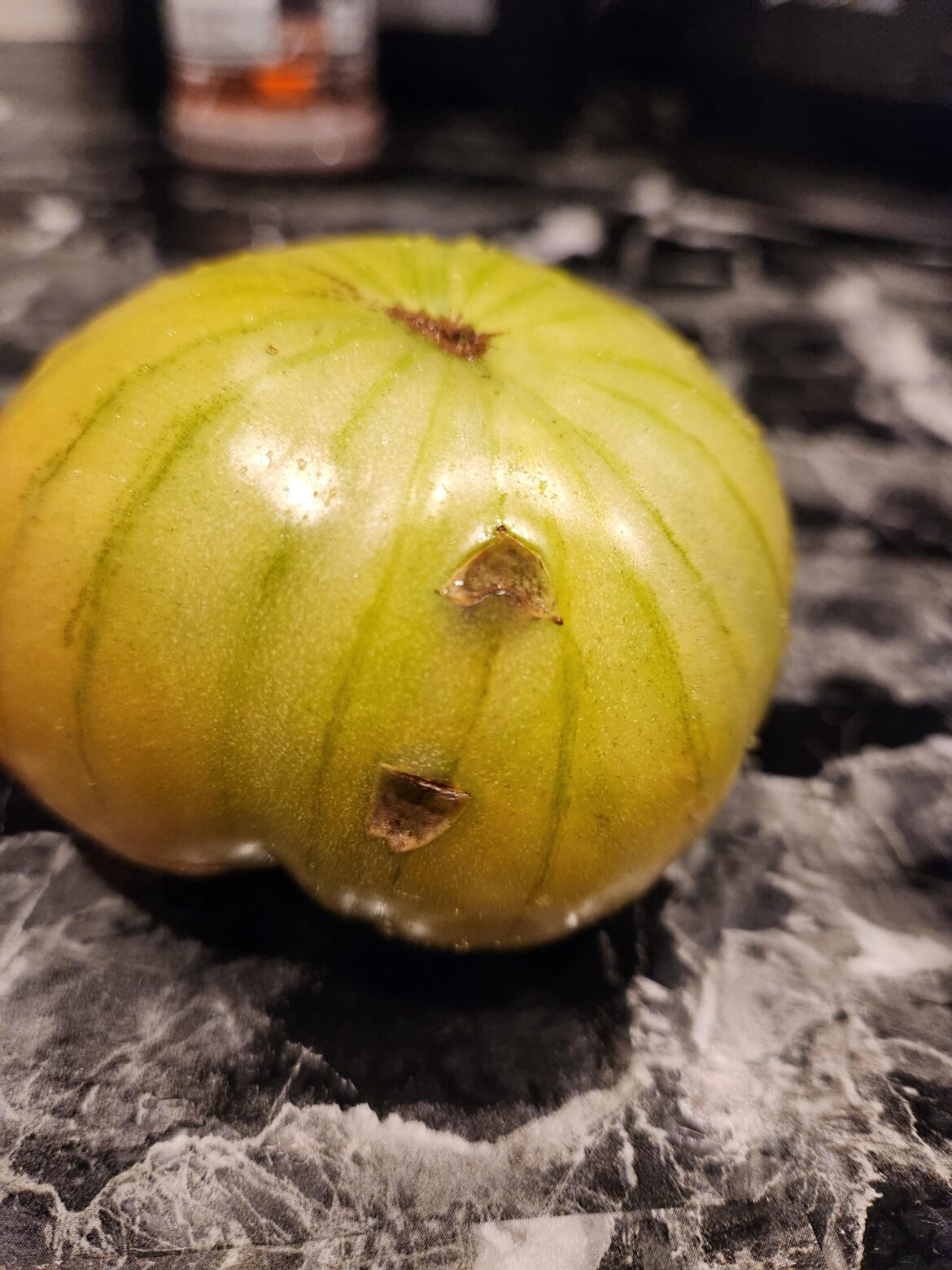 What's been doing this to my tomatoes?