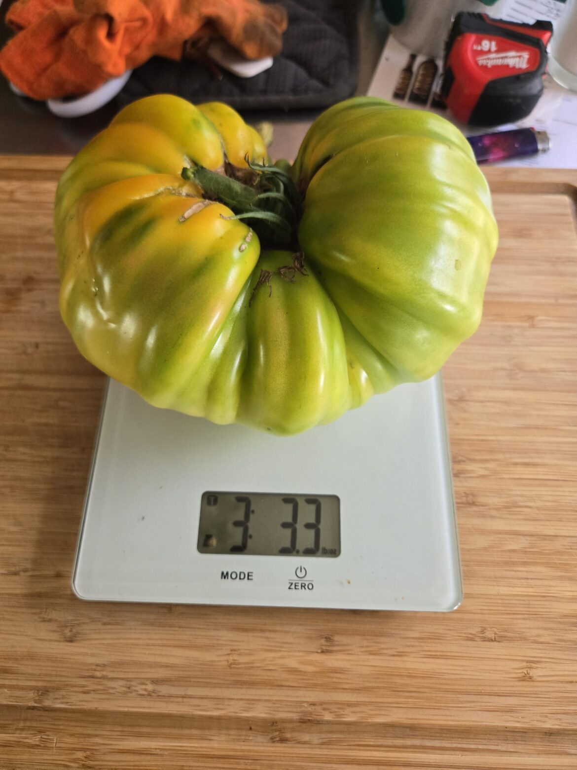 Pulled this big boy today!