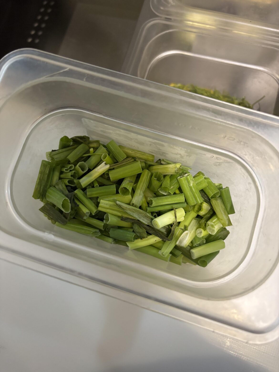 This house is a fucking prison