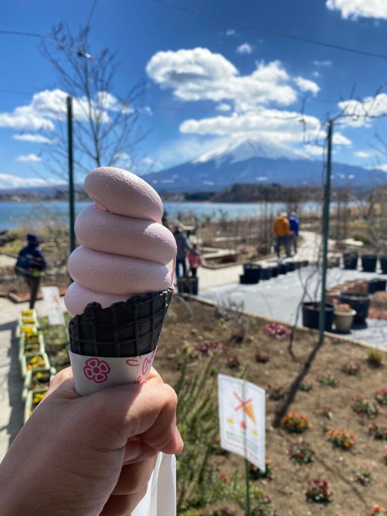 Strawberry ice cream + Mount Fuji.