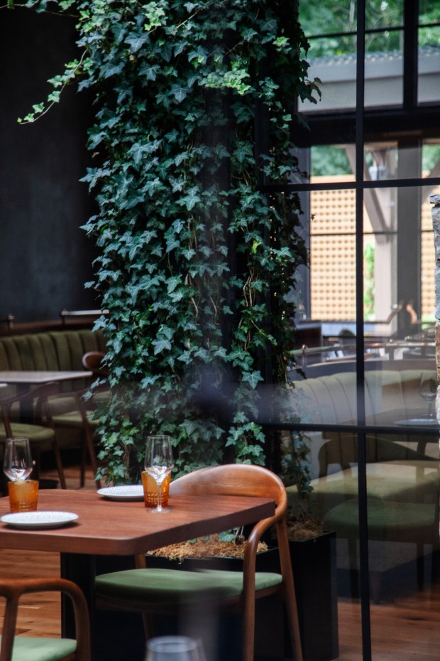 Dandelion, the signature restaurant at the new Delamar Westport, aims...