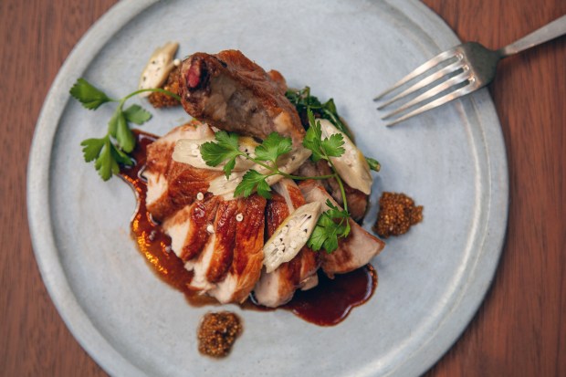 Dandelion, the signature restaurant at the new Delamar Westport, aims to bring warmth and vibrancy of Mediterranean cuisine to the heart of coastal Connecticut. (Contributed)