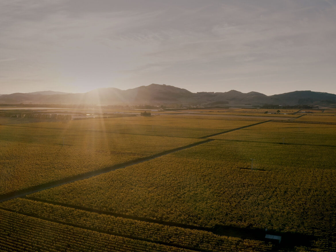 The Shout Magazine (New Zealand)