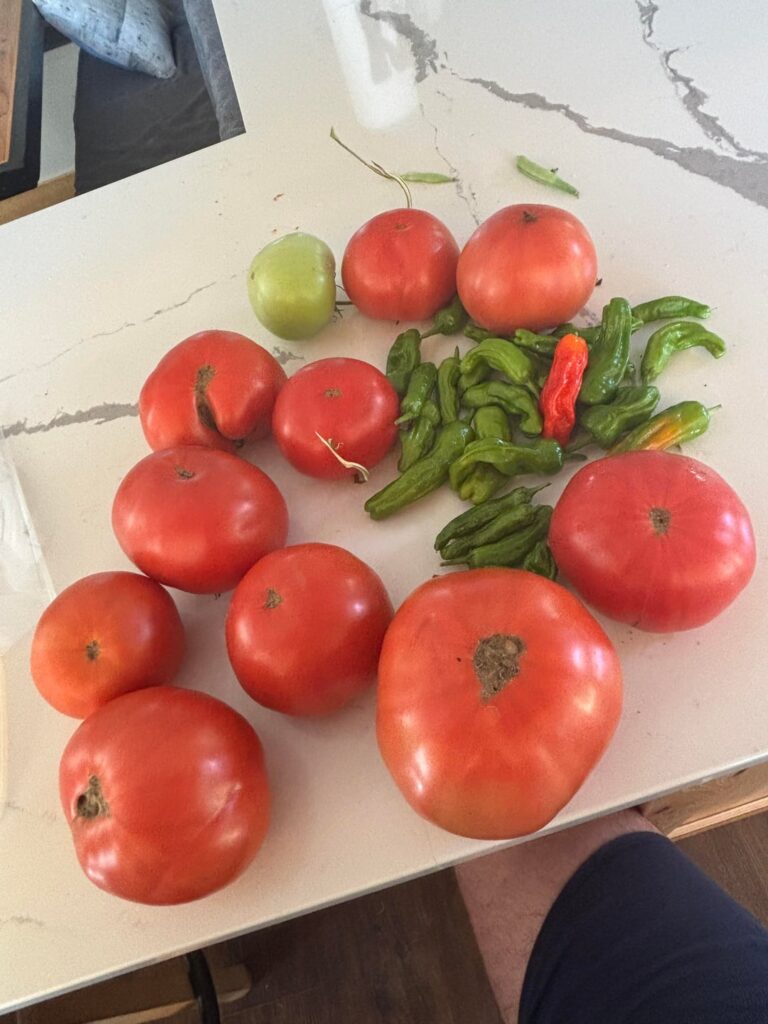 Finally they are coming in hot!  Didn’t know if they were gonna beat the cold weather