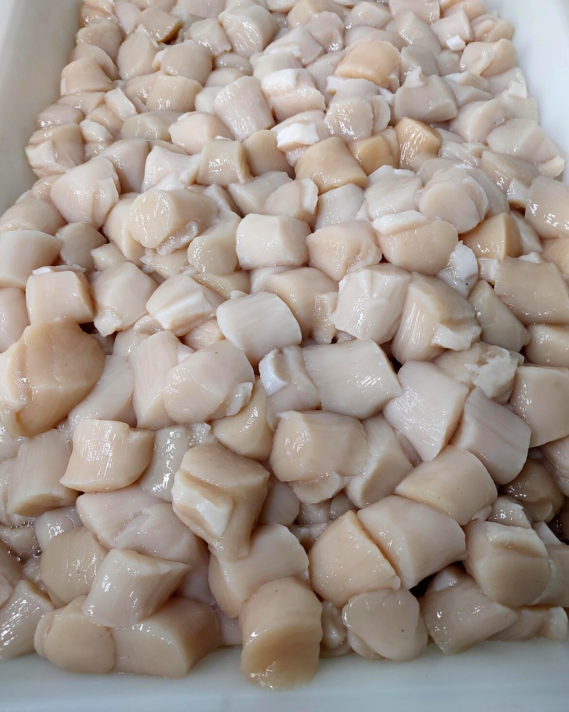 45 of scallops cost us 990 USD.