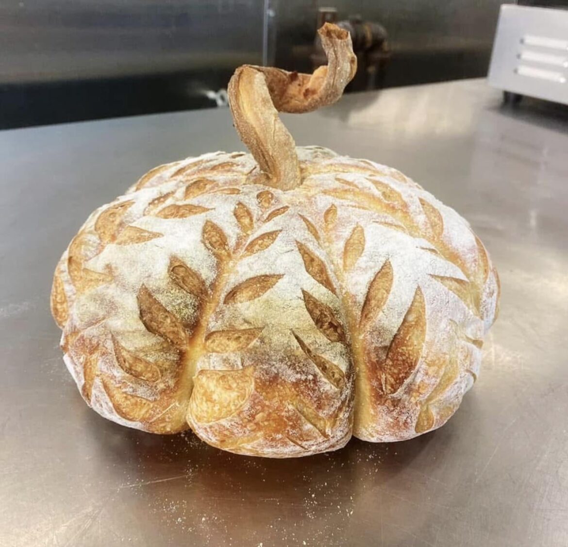 My Rosemary Cheddar Sourdough Pumpkin 🎃 My Rosemary Cheddar Sourdough Pumpkin 🎃