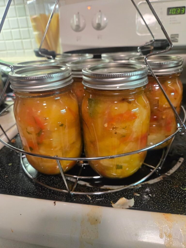 My first Salsa Mango pineapple Habanero Scorpion salsa My first Salsa Mango pineapple Habanero Scorpion salsa