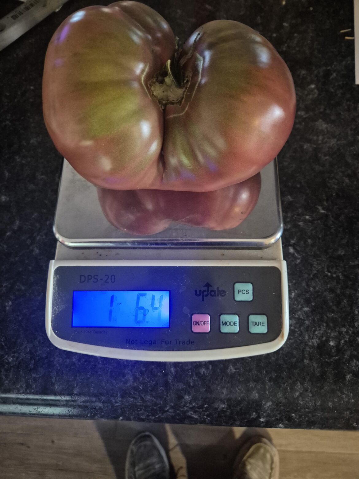 Cherokee purple has beat out the other types. So far.