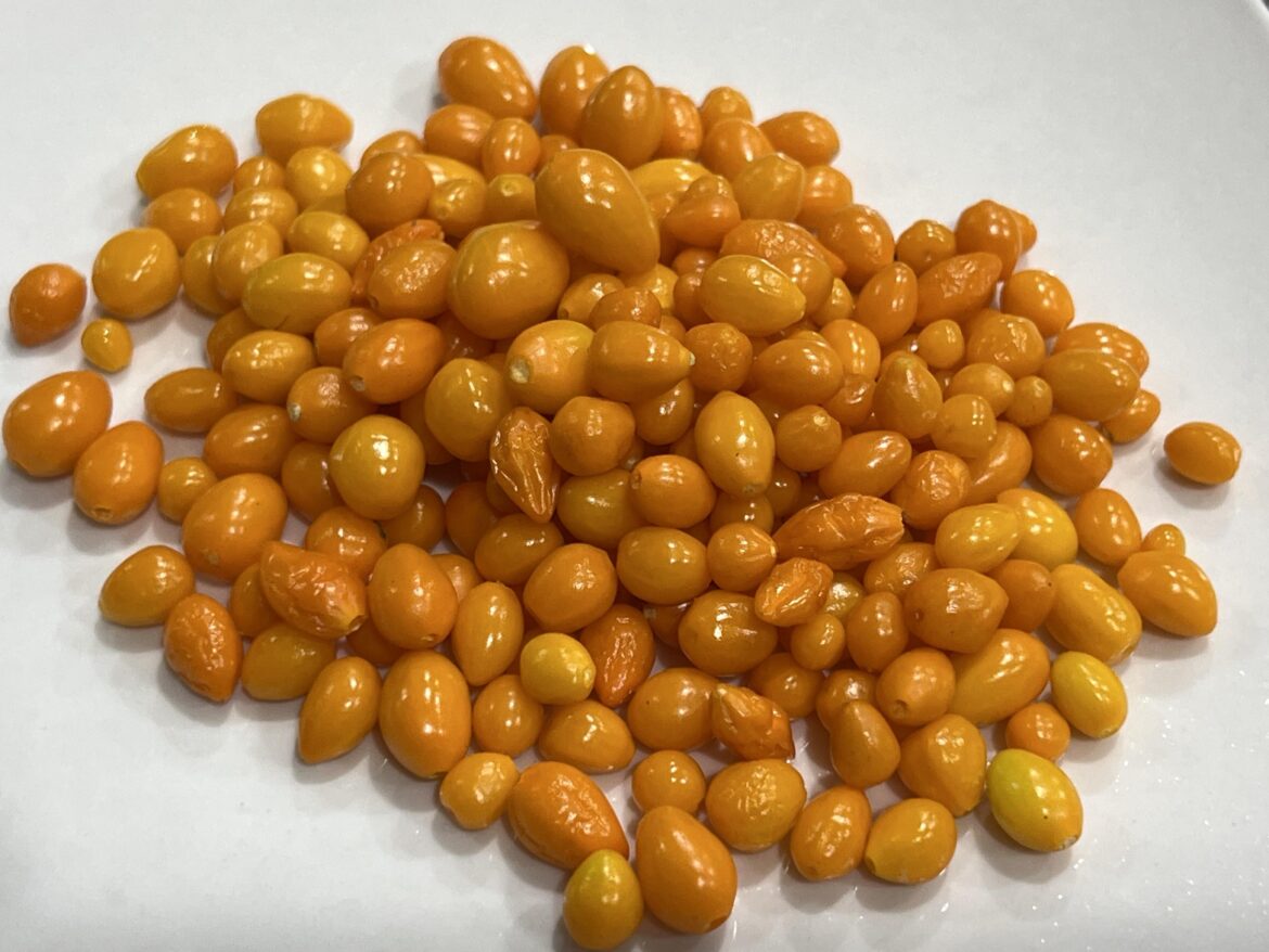 It took me 30 minutes to pick these but it was worth it