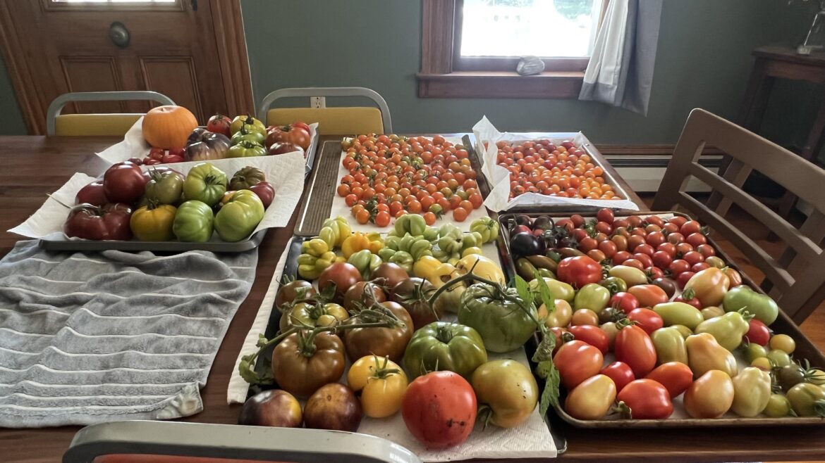 24 varieties and counting!