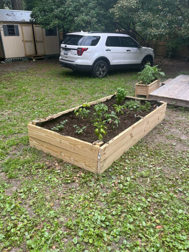 Very proud of my first garden ever.  What a difference a few moths makes