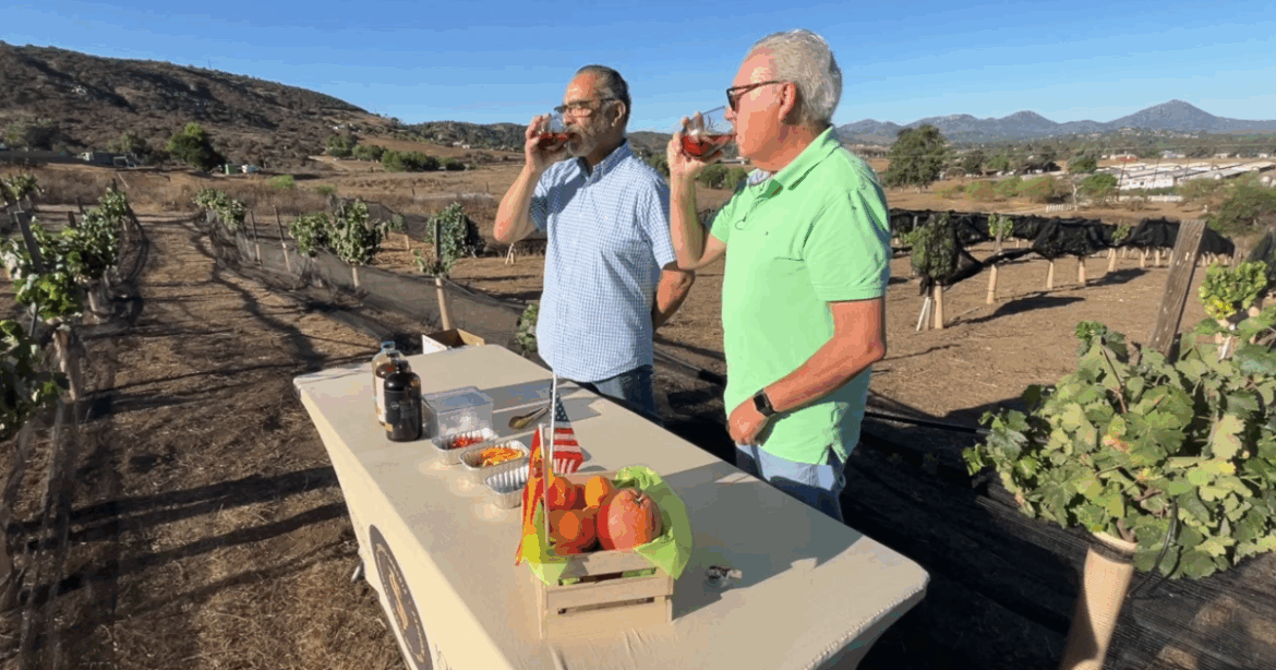 San Diego vineyard brings authentic Spanish wine tradition to California