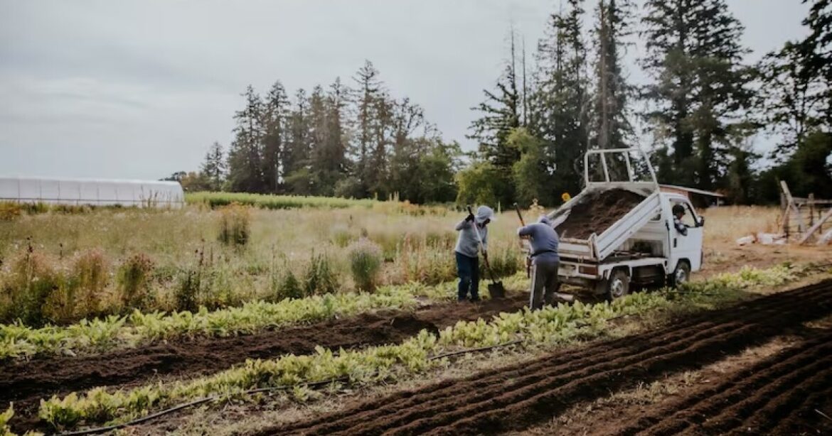 Oregon farmers wrap up local food deliveries after federal cuts Oregon farmers wrap up local food deliveries after federal cuts