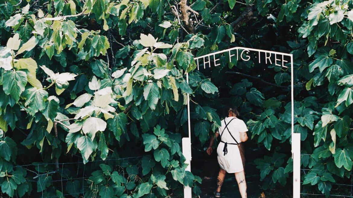 Is this one of Australia’s most magical dining experiences? The Entrance of The Fig Tree photo supplied.JPG