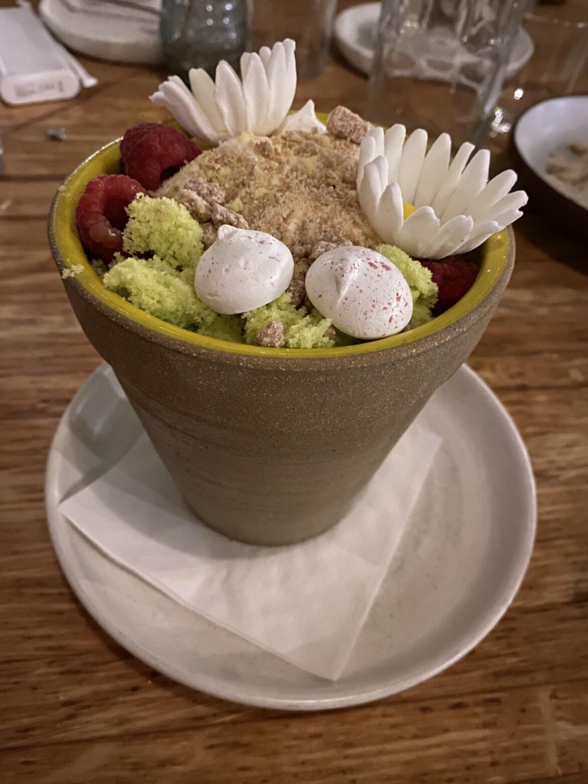 Dessert in a Flower Pot