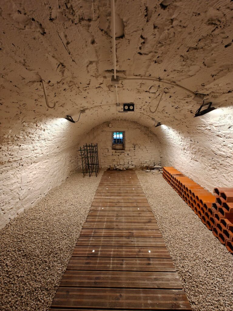 Need advice on our cellar