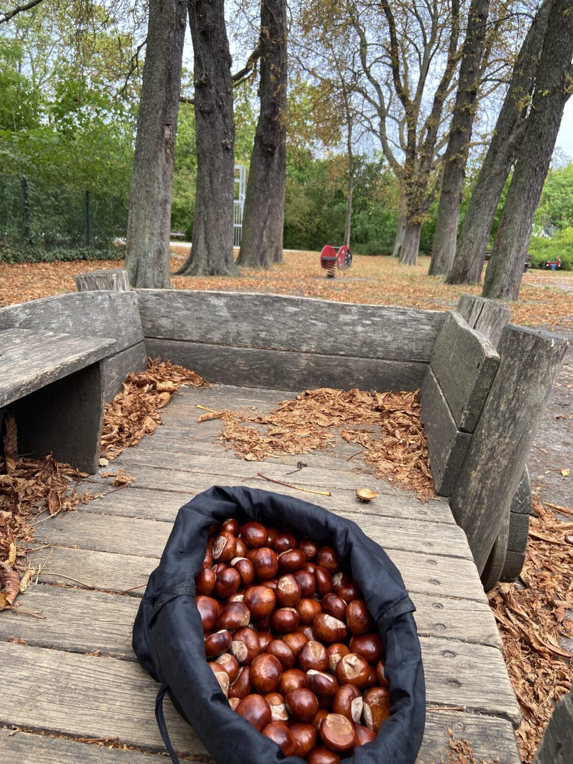 I collected a bag full of hazelnuts today, but I don't have a baking oven. Any suggestions on how to roast or cook them?
