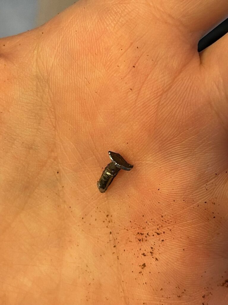 I’ve heard of stones, but a nail?!