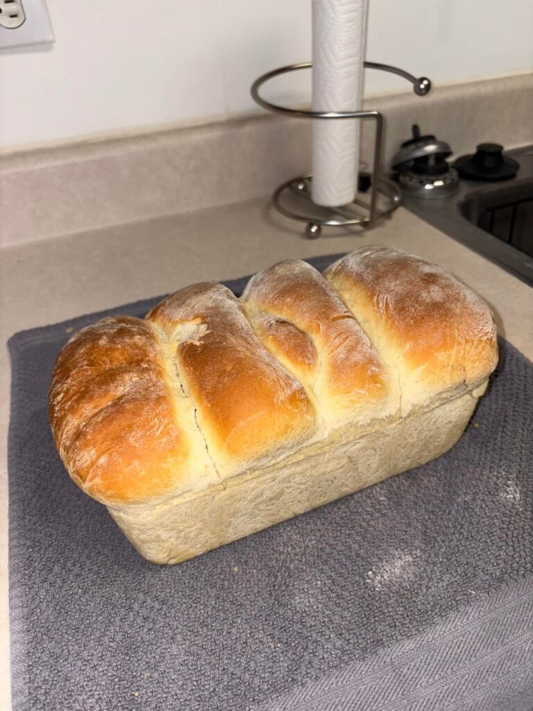 My first bread ever