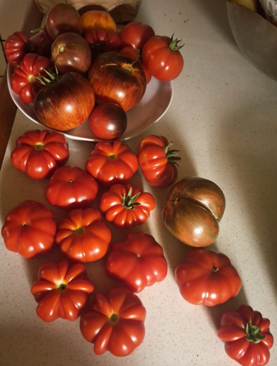 I take back every bad word I ever said!