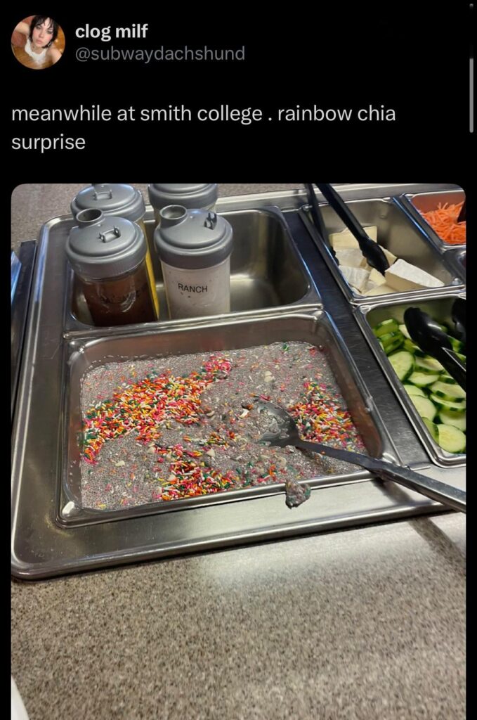 Rainbow chia surprise