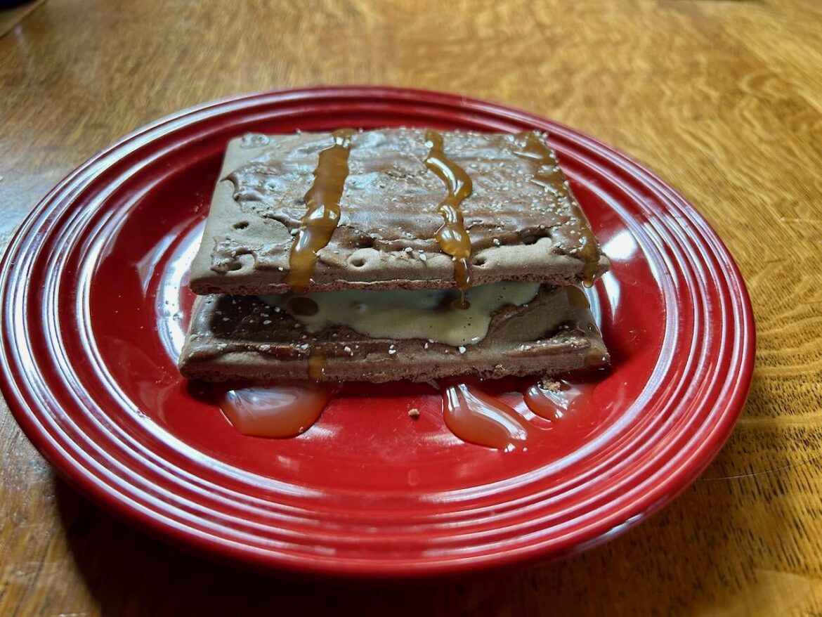 Chocolate Poptart Icecream Sandwich