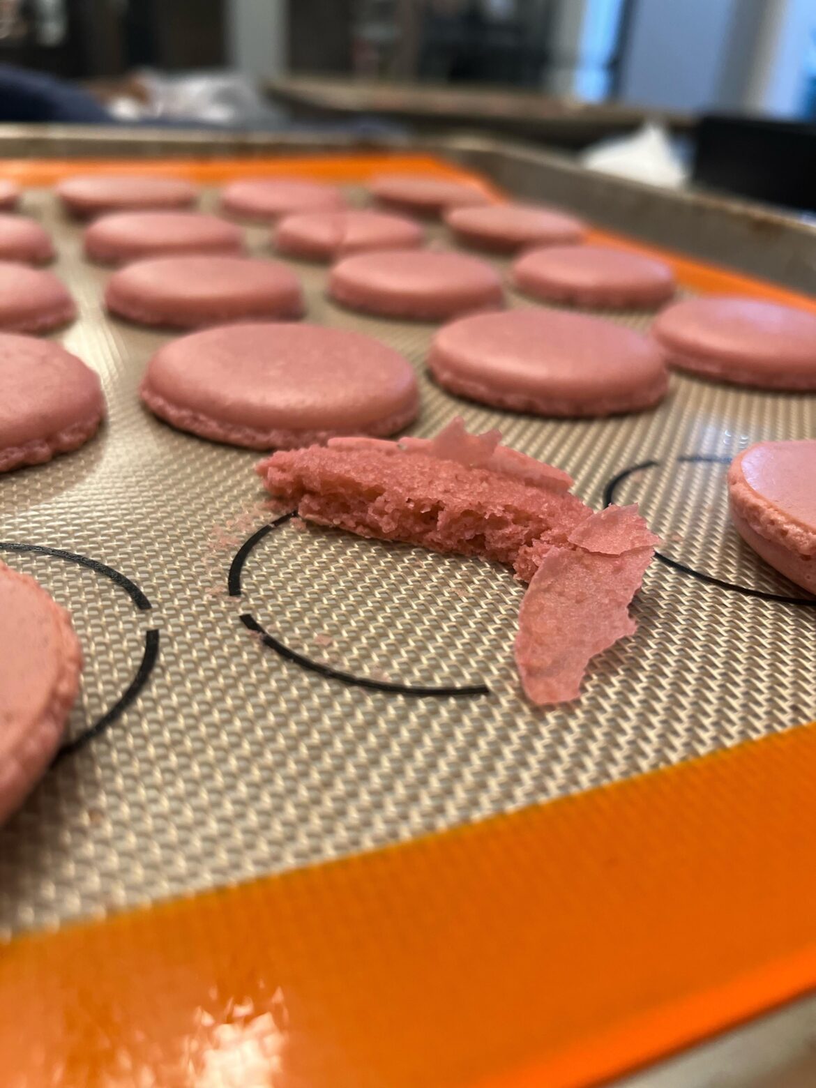 Thin shell that crack when I attempted to remove Thin shell that crack when I attempted to remove