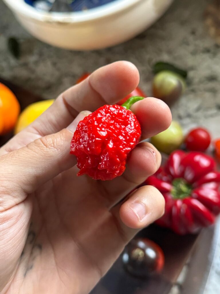 Thought my Reapers were hot…