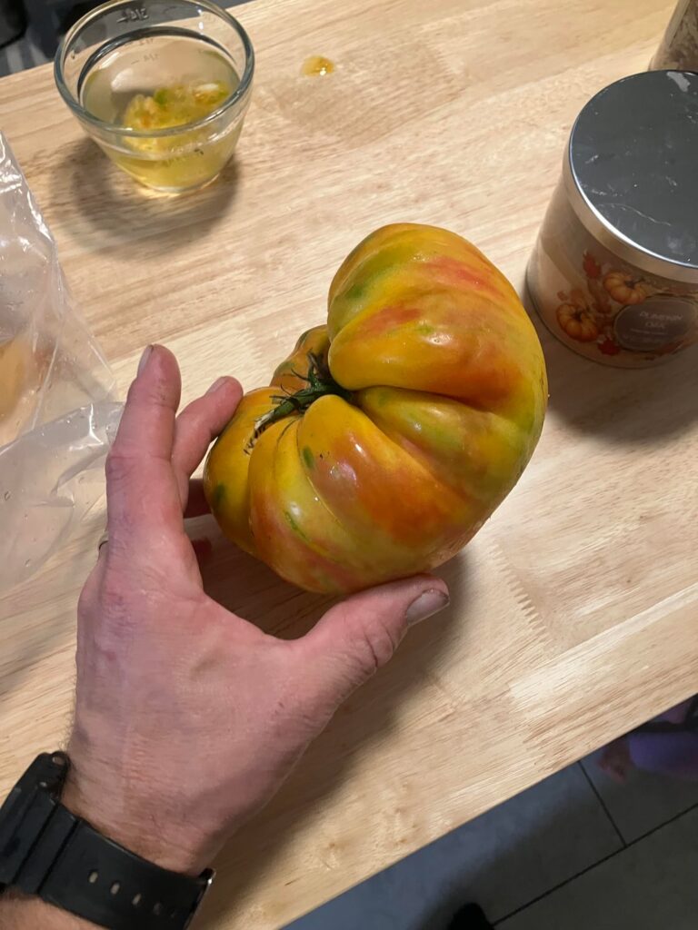 Id this tomato
