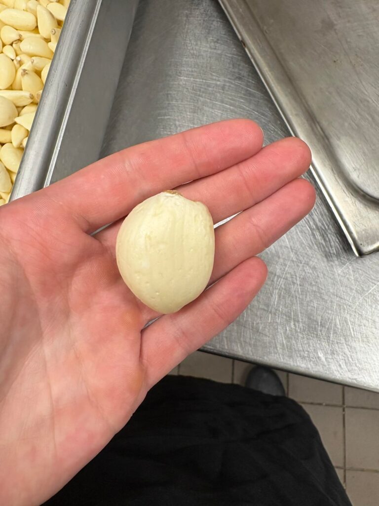 Mutant garlic