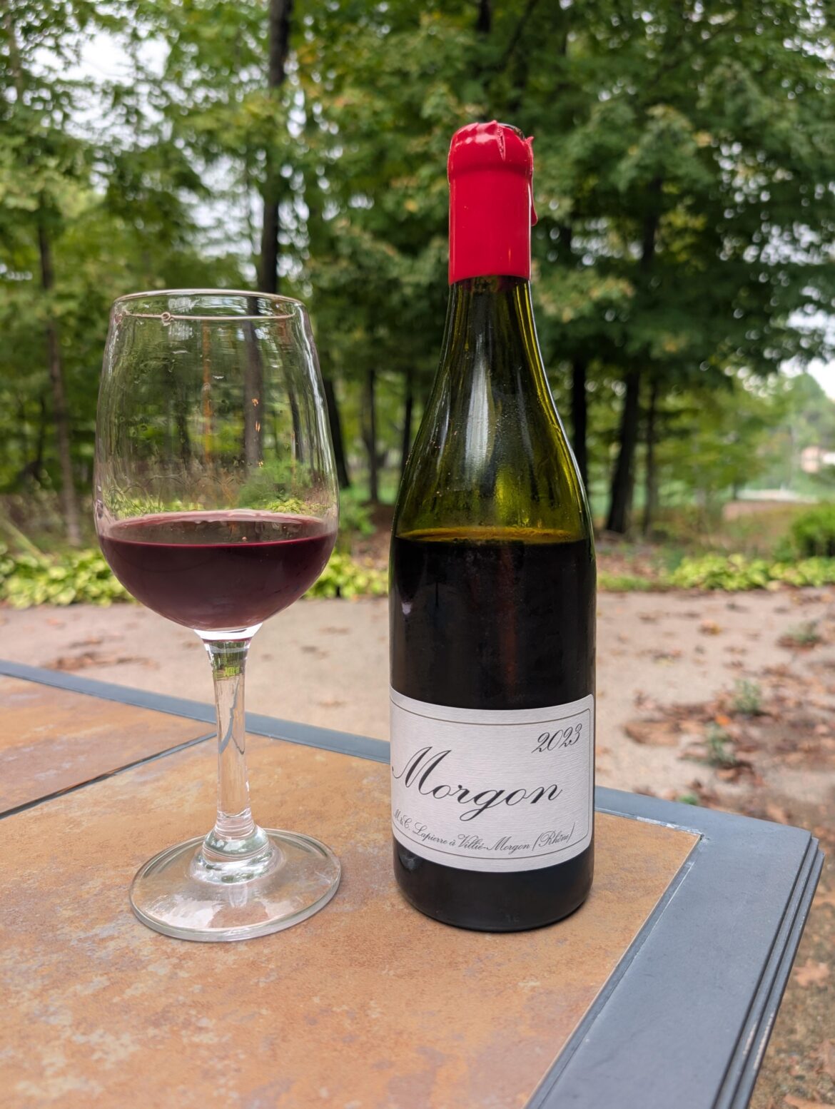 2023 Marcel Lapierre Morgan