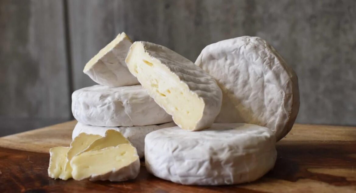 Day 1843 of posting images of cheese until I run out of cheese types: Little Hosmer