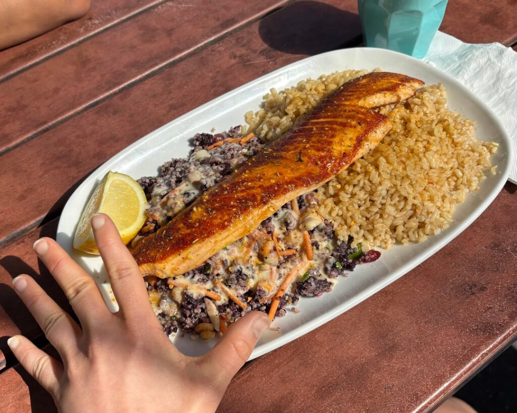 Grilled salmon, quinoa salad and rice