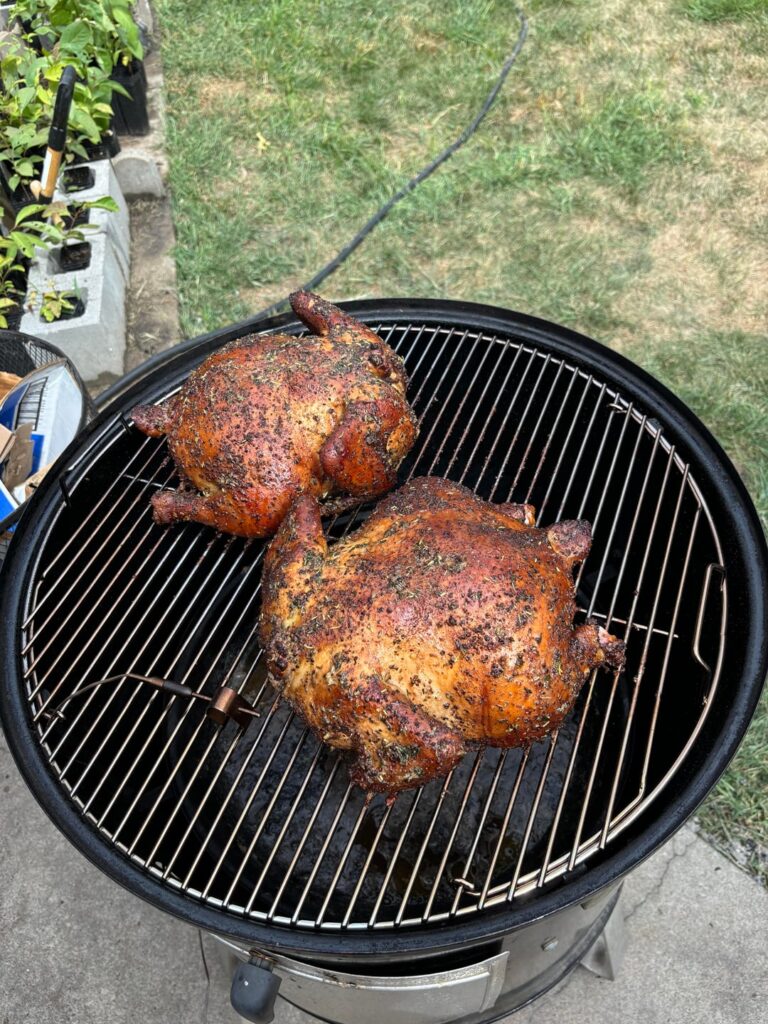 First go on the Webber Smokey Mountain.. Success! First go on the Webber Smokey Mountain.. Success!