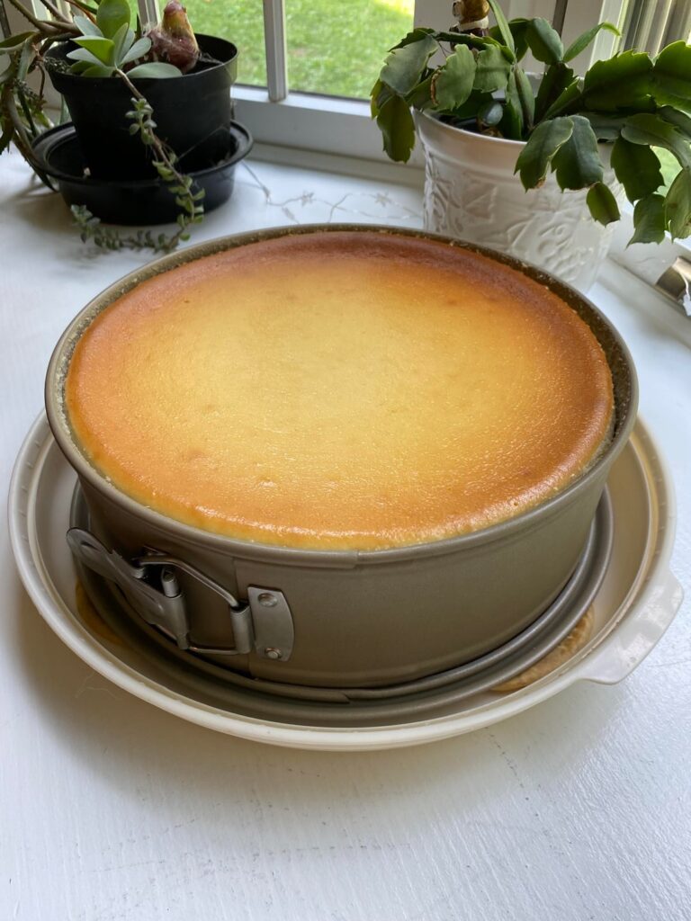 My most beautiful cheesecake yet