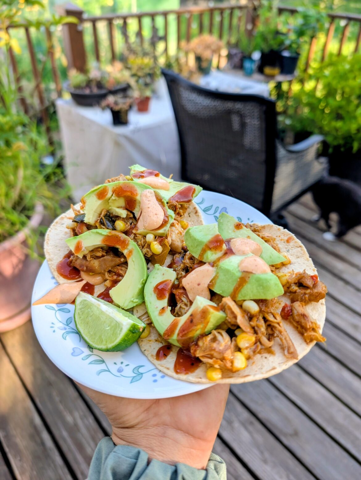Stewed chicken thigh tacos with avocado and corn