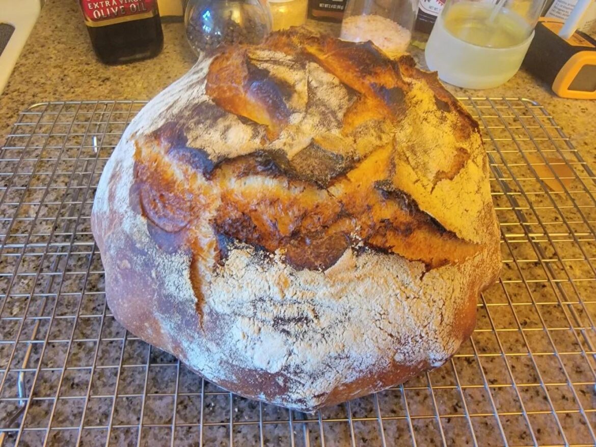 Freshman effort at rustic French boule, please be ruthless